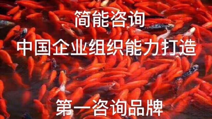 中小企业组织变革的领航者 杭州简能企业管理咨询